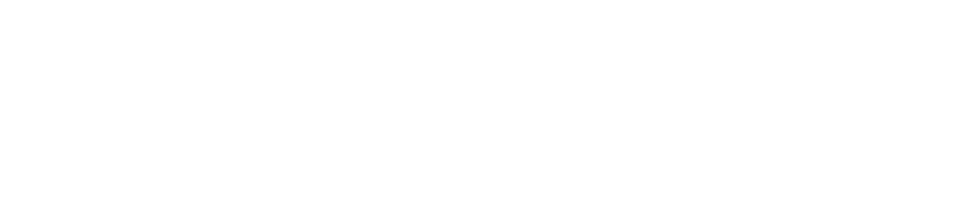 logo meatfly